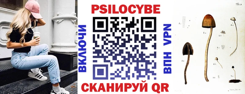 Галлюциногенные грибы MAGIC MUSHROOMS  Мамадыш 